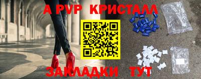 меф Кингисепп