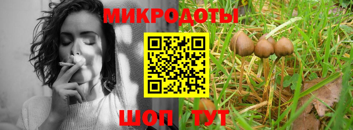 Галлюциногенные грибы мухоморы  Вход с VPN  закладки  Канаш  Галлюциногенные грибы Psilocybine cubensis 